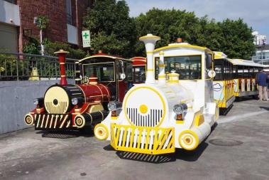 場地用電動(dòng)觀光列車Electric sightseeing train for the venue
